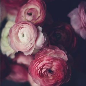 Meet your Posher, Corina